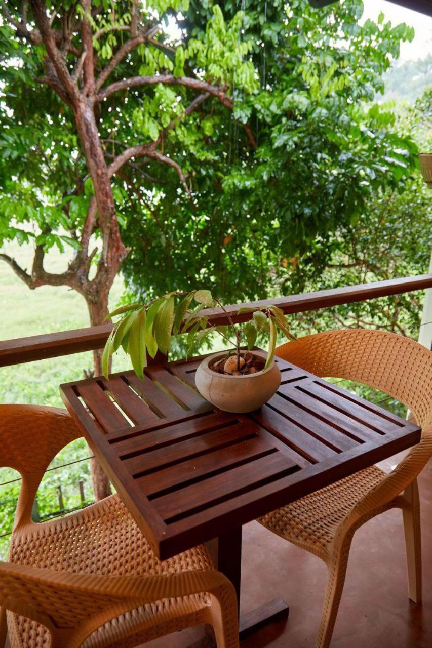Green View Homestay Galle Eksteriør bilde